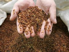 Why Mayor Bloomberg Wants To Build A Giant Dirt-Like Heap Of New Yorkers' Thrown Out Food