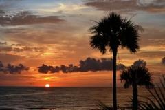 Congrats to June St. Pete Patch Facebook Cover Photo Winner!