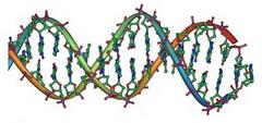 Cancer researcher lauds ruling against gene patents